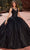 Rachel Allan RQ1127 - Embellished V-Neck Quinceanera Ballgown Ball Gowns 0 / Black