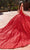 Rachel Allan RQ1127 - Embellished V-Neck Quinceanera Ballgown Ball Gowns