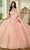 Rachel Allan RQ1133 - Sleeveless Applique Embellished Ballgown Quinceanera Dresses 0 / Blush Champagne