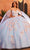 Rachel Allan RQ2161 - Floral Ornate Quinceanera Ballgown Ball Gowns 0 / Light Blue/Multi