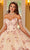 Rachel Allan RQ2161 - Floral Ornate Quinceanera Ballgown Ball Gowns