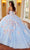 Rachel Allan RQ2161 - Floral Ornate Quinceanera Ballgown Ball Gowns