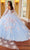 Rachel Allan RQ2161 - Floral Ornate Quinceanera Ballgown Ball Gowns