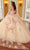 Rachel Allan RQ2161 - Floral Ornate Quinceanera Ballgown Ball Gowns