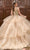 Rachel Allan RQ2173 - Floral Lace Tiered Ballgown Ball Gowns