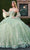 Rachel Allan RQ2178 - Detachable Sleeve Tiered Ballgown Ball Gowns 0 / Sage