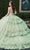 Rachel Allan RQ2178 - Detachable Sleeve Tiered Ballgown Ball Gowns