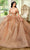 Rachel Allan RQ2183 - Corset Gleaming Tulle Ballgown Ball Gowns 0 / Deep Champagne