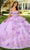 Rachel Allan RQ3100 - Floral Embroidered Ruffle Ballgown Ball Gowns 0 / Lilac