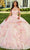 Rachel Allan RQ3100 - Floral Embroidered Ruffle Ballgown Ball Gowns