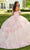 Rachel Allan RQ3100 - Floral Embroidered Ruffle Ballgown Ball Gowns