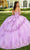 Rachel Allan RQ3100 - Floral Embroidered Ruffle Ballgown Ball Gowns