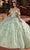 Rachel Allan RQ3120 - Off Shoulder Appliqued Ballgown Ball Gowns 0 / Sage