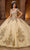 Rachel Allan RQ3126 - Sweetheart Neck 3D Floral Embellished Ballgown Ball Gowns 0 / Champagne Gold Multi