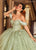 Rachel Allan RQ3146 - Sweetheart Glitter Tulle Ballgown with Streamer Special Occasion Dress