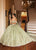 Rachel Allan RQ3146 - Sweetheart Glitter Tulle Ballgown with Streamer Special Occasion Dress