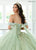 Rachel Allan RQ3146 - Sweetheart Glitter Tulle Ballgown with Streamer Special Occasion Dress