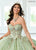 Rachel Allan RQ3146 - Sweetheart Glitter Tulle Ballgown with Streamer Special Occasion Dress