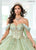 Rachel Allan RQ3146 - Sweetheart Glitter Tulle Ballgown with Streamer Special Occasion Dress