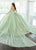 Rachel Allan RQ3146 - Sweetheart Glitter Tulle Ballgown with Streamer Special Occasion Dress