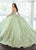 Rachel Allan RQ3146 - Sweetheart Glitter Tulle Ballgown with Streamer Special Occasion Dress