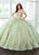 Rachel Allan RQ3146 - Sweetheart Glitter Tulle Ballgown with Streamer Special Occasion Dress