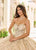 Rachel Allan RQ3146 - Sweetheart Glitter Tulle Ballgown with Streamer Special Occasion Dress