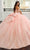 Rachel Allan RQ3154 - Sweetheart Neckline Floral Appliqued Ballgown Quinceanera Dresses