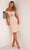 Terani Couture 241C2311 - Illusion Sheath Evening Dress Cocktail Dresses 00 / Blush Blush
