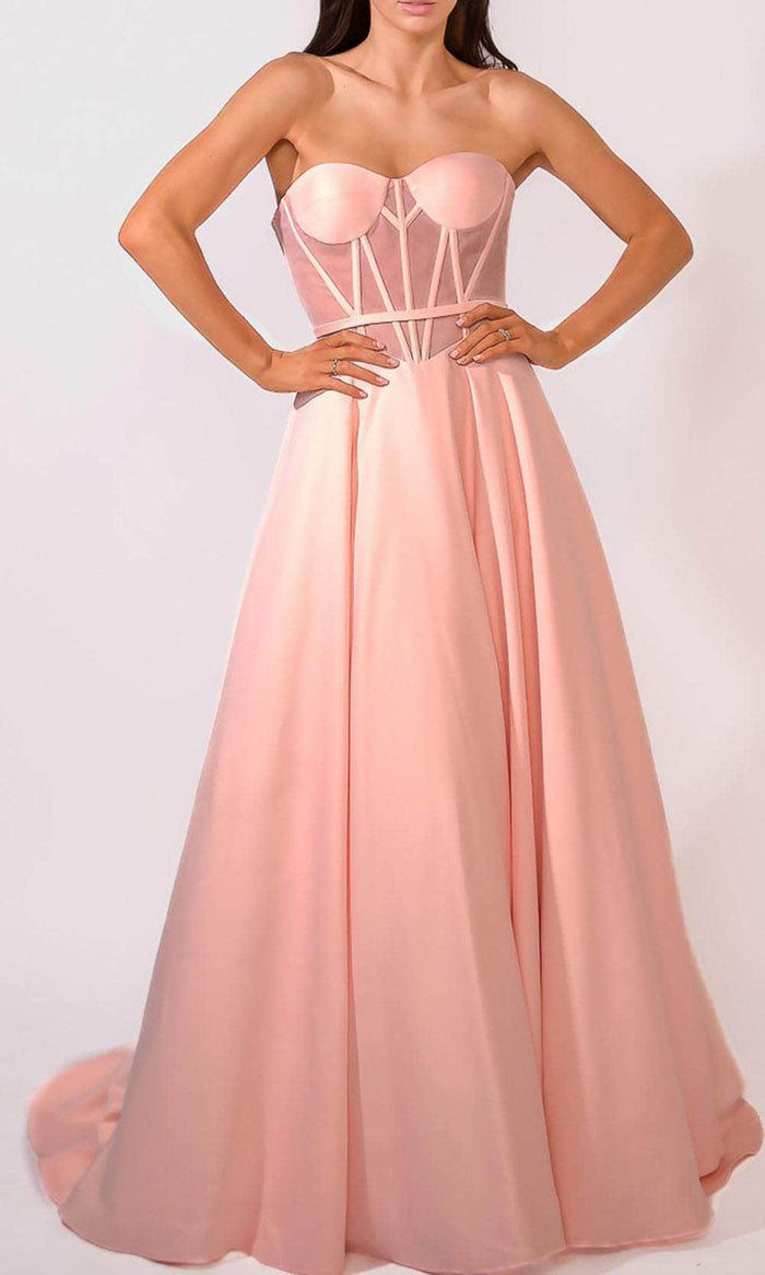 Terani Couture 241P2046 - Strapless Sheer Ballgown Ball Gowns 00 / Blush