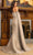 Terani Couture 242M3311 - Asymmetric Evening Gown with Cape Sleeve Evening Dresses