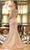 Terani Couture 242M3374 - Embroidered Illusion Neck Evening Gown Mother Of The Bride Dresses