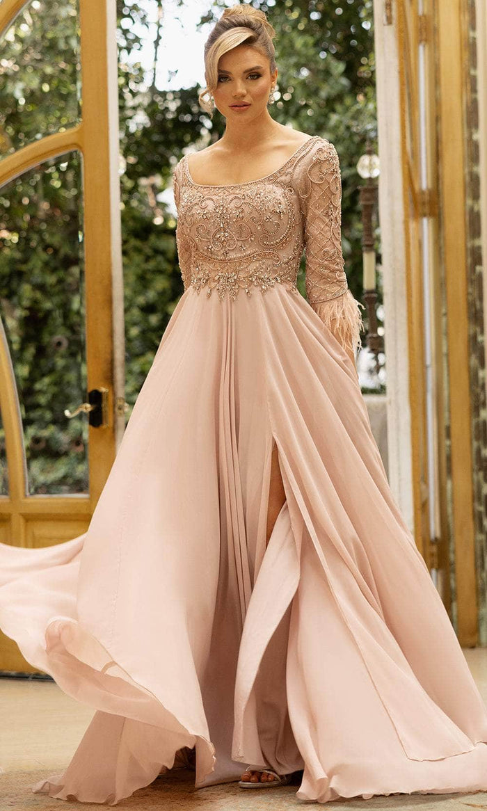 Terani Couture 242M3390 - Scoop Neck A-Line Evening Dress Mother Of The Bride Dresses 00 / Blush