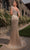 Terani Couture 251GL4345 - Tulle Sweetheart Sheath Evening Gown Prom Dresses