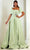 Terani Couture 251M4441 - One Sholder Pleated Waistband Evening Gown Mother of the Bride Dresses 00 / Sage