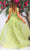 Terani Couture 251P4533 - Organza Cap Sleeve Ballgown Ball Gowns