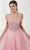 Tiffany Designs 16064 - Floral Appliqued Sweetheart Evening Gown Evening Dresses 0 / Rose