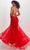 Tiffany Designs by Christina Wu 16015 - Laced Tulle Prom Gown Prom Dresses