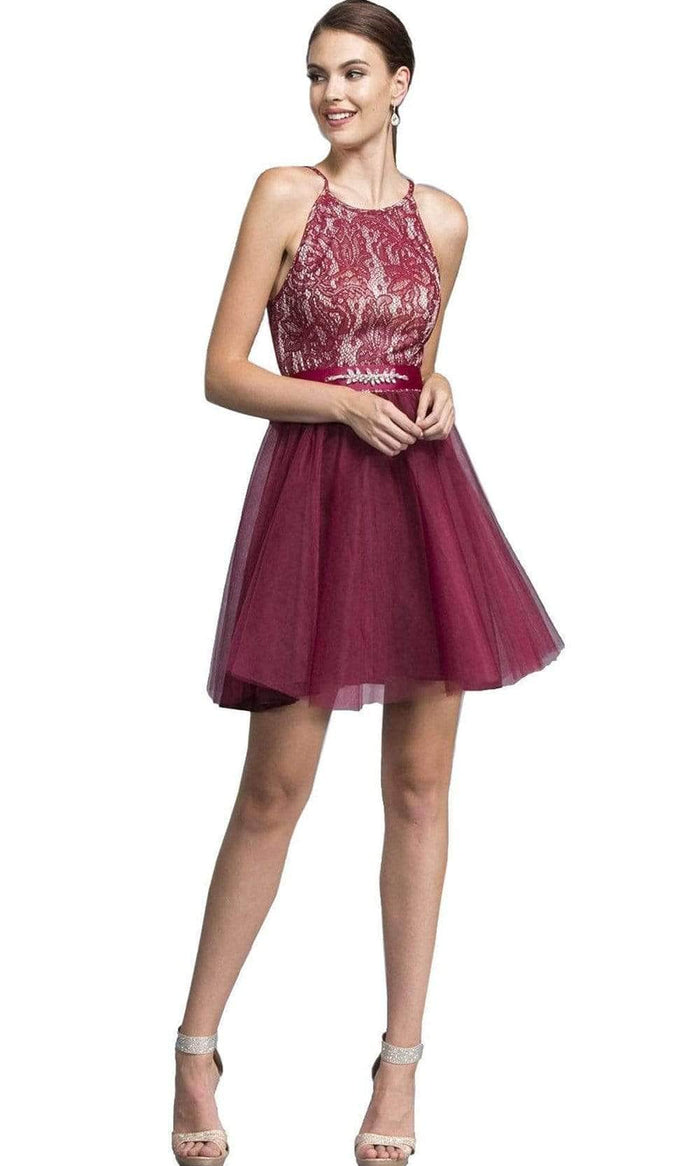 Trevi Collection - Halter Cocktail Dress with Ribbon Sash Waistband Cocktail Dresses XXS / Burgundy