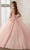 Vizcaya By Mori Lee 60015 - Sheer Bell Sleeve Gown Quinceanera Dresses