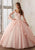 Vizcaya By Mori Lee 60015 - Sheer Bell Sleeve Gown Quinceanera Dresses