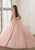 Vizcaya By Mori Lee 60015 - Sheer Bell Sleeve Gown Quinceanera Dresses