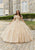 Vizcaya by Mori Lee 89404 - Butterfly Appliqued Off Shoulder Ballgown Ball Gowns