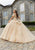 Vizcaya by Mori Lee 89404 - Butterfly Appliqued Off Shoulder Ballgown Ball Gowns