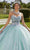 Vizcaya by Mori Lee 89421 - 3D Floral Appliqued Ballgown Ball Gowns