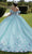 Vizcaya by Mori Lee 89421 - 3D Floral Appliqued Ballgown Ball Gowns