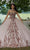 Vizcaya by Mori Lee 89458 - Sweetheart Sequin Embellished Ballgown Ball Gowns