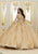 Vizcaya by Mori Lee 89472 - Pattern Sequin Quinceanera Ballgown Quinceanera Dresses