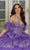 Vizcaya by Mori Lee 89476 - Strapless Beaded Embroidered Ballgown Quinceanera Dresses