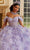 Vizcaya by Mori Lee 89477 - Sweetheart Sheer Webbed Corset Ballgown Quinceanera Dresses